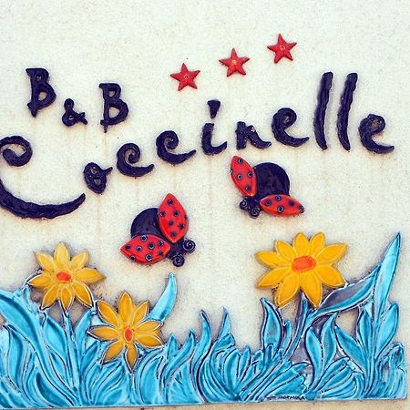 B&B Coccinelle San Vito Lo Capo Bagian luar foto